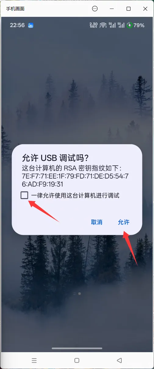 请输入图片描述